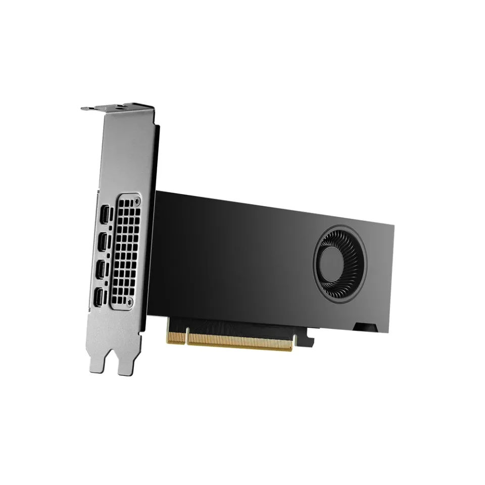 PNY NVIDIA RTX 2000 Ada Generation graphics card — Product photo