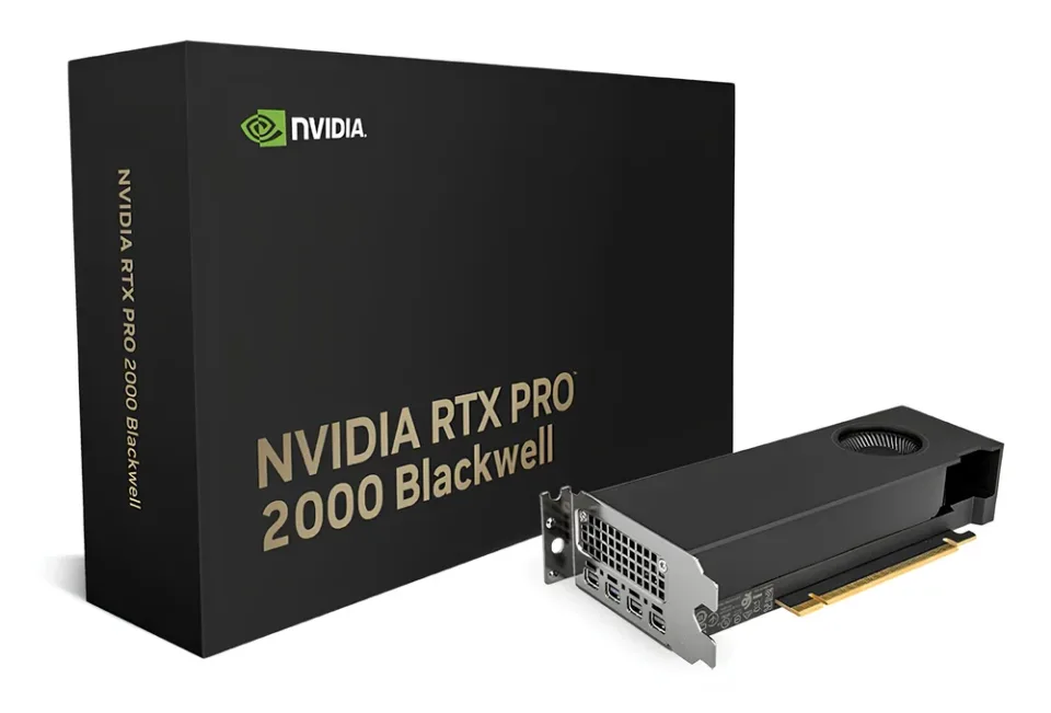 NVIDIA RTX PRO 2000 Blackwell graphics card — Product photo